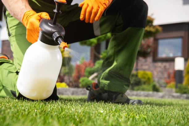 Best Bed Bug Extermination  in St Joseph, MO