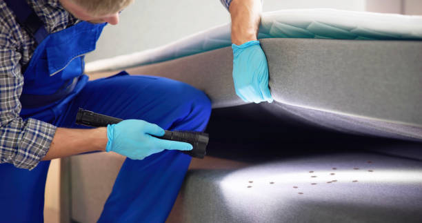 Best Affordable Pest Control Services  in St Joseph, MO