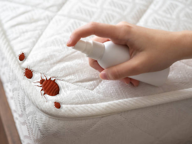 Pest Prevention Services in St Joseph, MO