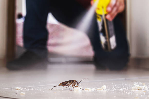 Best Best Pest Control Companies  in St Joseph, MO