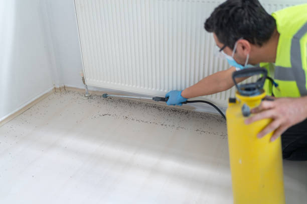 Best Pest Control for Homes  in St Joseph, MO